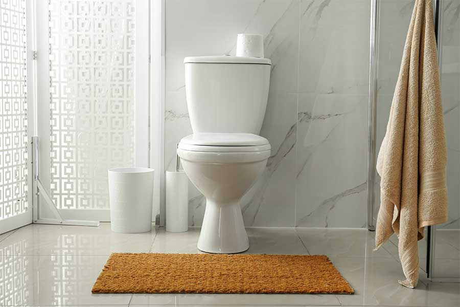 Toilet repair service in Brooklyn, NY